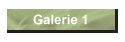 Galerie 1