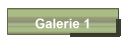 Galerie 1