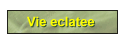 Vie eclatee