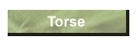 Torse