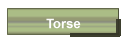 Torse