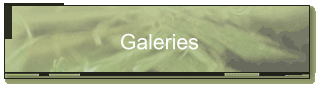 Galeries